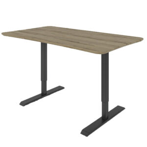 Dawsyn Adjustable Desk