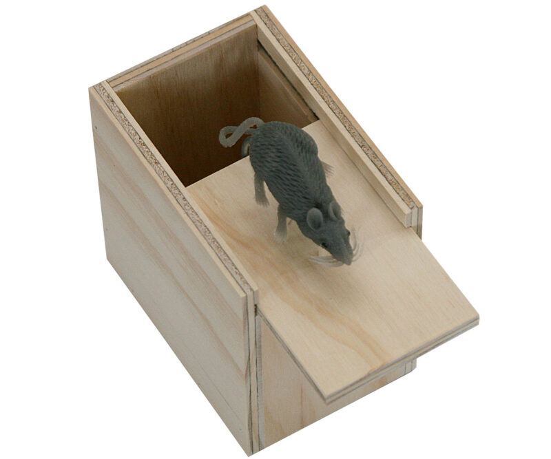 Surprise Box - Mouse